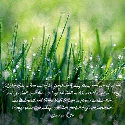 Picture 03 - Jeremiah 5:6 KJV - Wherefore a lion out of the forest shall slay - Bible Verse Picture