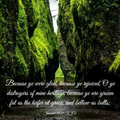 Picture 03 - Jeremiah 50:11 KJV - Because ye were glad, because ye rejoiced, O ye - Bible Verse Picture