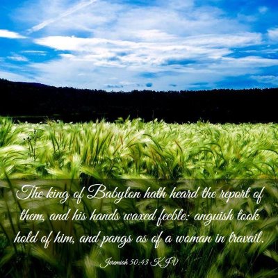 Picture 03 - Jeremiah 50:43 KJV - The king of Babylon hath heard the report of - Bible Verse Picture