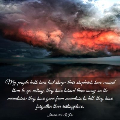 Picture 03 - Jeremiah 50:6 KJV - My people hath been lost sheep: their shepherds - Bible Verse Picture