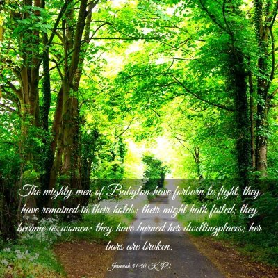 Picture 03 - Jeremiah 51:30 KJV - The mighty men of Babylon have forborn to fight, - Bible Verse Picture