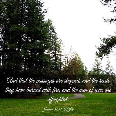 Picture 03 - Jeremiah 51:32 KJV - And that the passages are stopped, and the reeds - Bible Verse Picture