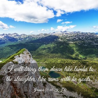 Picture 03 - Jeremiah 51:40 KJV - I will bring them down like lambs to the - Bible Verse Picture