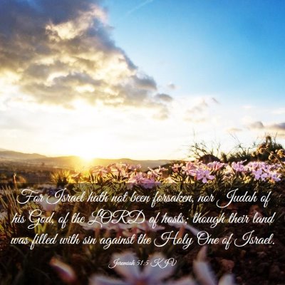 Picture 03 - Jeremiah 51:5 KJV - For Israel hath not been forsaken, nor Judah of - Bible Verse Picture