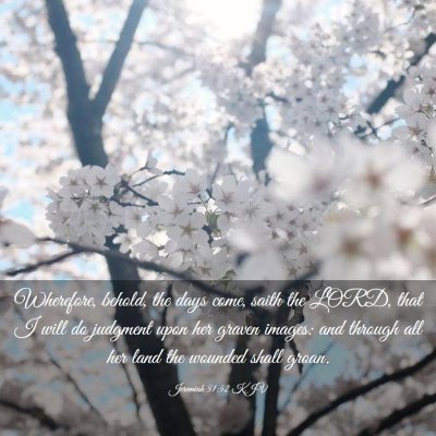 Picture 03 - Jeremiah 51:52 KJV - Wherefore, behold, the days come, saith the LORD, - Bible Verse Picture