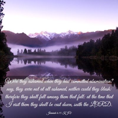 Picture 03 - Jeremiah 6:15 KJV - Were they ashamed when they had committed - Bible Verse Picture