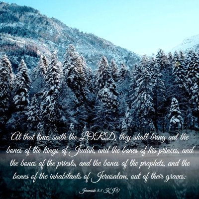 Picture 03 - Jeremiah 8:1 KJV - At that time, saith the LORD, they shall bring - Bible Verse Picture