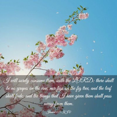 Picture 03 - Jeremiah 8:13 KJV - I will surely consume them, saith the LORD: there - Bible Verse Picture