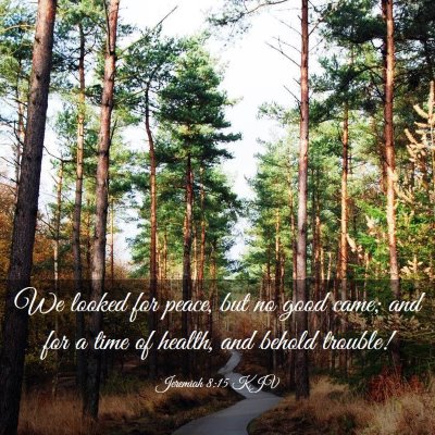 Picture 03 - Jeremiah 8:15 KJV - We looked for peace, but no good came; and for a - Bible Verse Picture