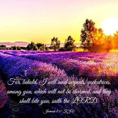 Picture 03 - Jeremiah 8:17 KJV - For, behold, I will send serpents, cockatrices, - Bible Verse Picture