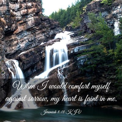 Picture 03 - Jeremiah 8:18 KJV - When I would comfort myself against sorrow, my - Bible Verse Picture
