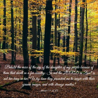 Picture 03 - Jeremiah 8:19 KJV - Behold the voice of the cry of the daughter of my - Bible Verse Picture