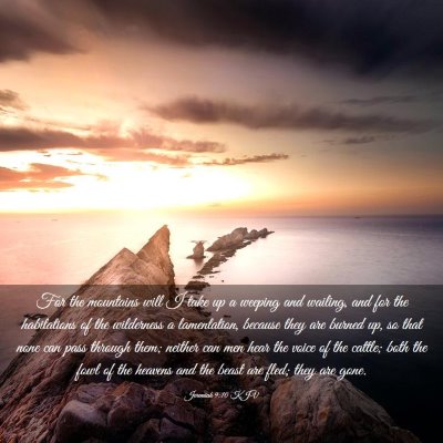 Picture 03 - Jeremiah 9:10 KJV - For the mountains will I take up a weeping and - Bible Verse Picture