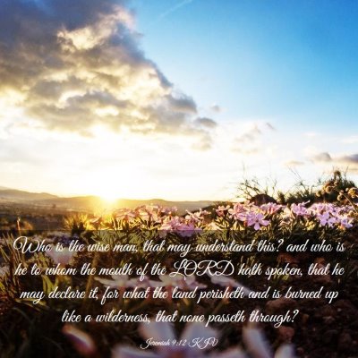 Picture 03 - Jeremiah 9:12 KJV - Who is the wise man, that may understand this? - Bible Verse Picture