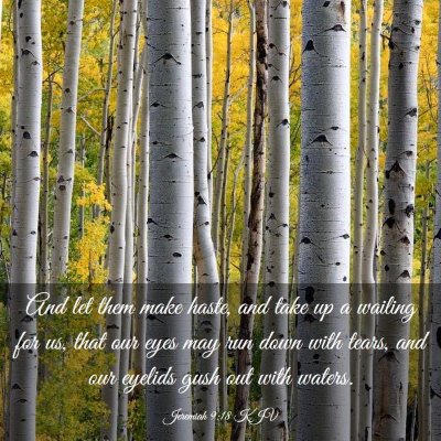 Picture 03 - Jeremiah 9:18 KJV - And let them make haste, and take up a wailing - Bible Verse Picture