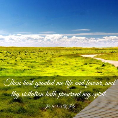 Picture 03 - Job 10:12 KJV - Thou hast granted me life and favour, and thy - Bible Verse Picture