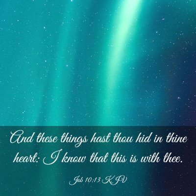 Picture 03 - Job 10:13 KJV - And these things hast thou hid in thine heart: I - Bible Verse Picture