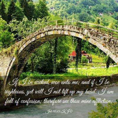 Picture 03 - Job 10:15 KJV - If I be wicked, woe unto me; and if I be - Bible Verse Picture