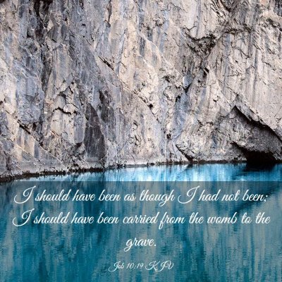 Picture 03 - Job 10:19 KJV - I should have been as though I had not been; I - Bible Verse Picture