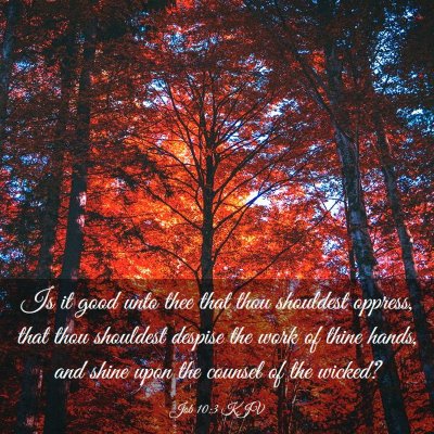 Picture 03 - Job 10:3 KJV - Is it good unto thee that thou shouldest oppress, - Bible Verse Picture
