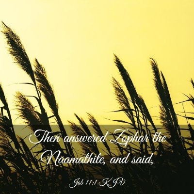 Picture 03 - Job 11:1 KJV - Then answered Zophar the Naamathite, and - Bible Verse Picture