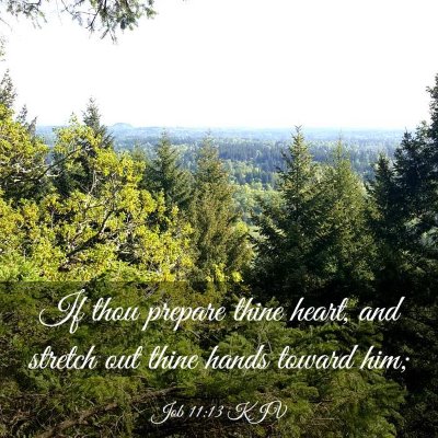 Picture 03 - Job 11:13 KJV - If thou prepare thine heart, and stretch out - Bible Verse Picture