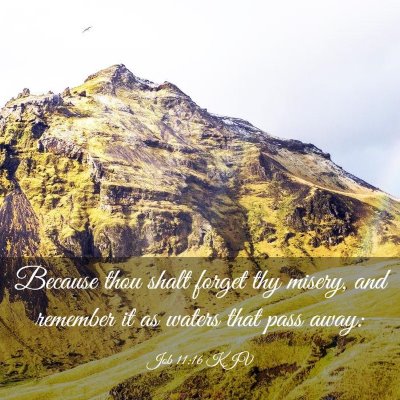 Picture 03 - Job 11:16 KJV - Because thou shalt forget thy misery, and - Bible Verse Picture