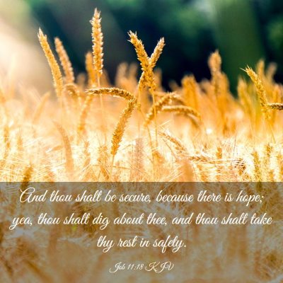 Picture 03 - Job 11:18 KJV - And thou shalt be secure, because there is hope; - Bible Verse Picture