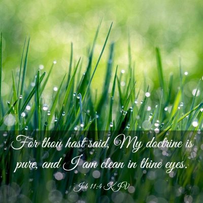 Picture 03 - Job 11:4 KJV - For thou hast said, My doctrine is pure, and I am - Bible Verse Picture