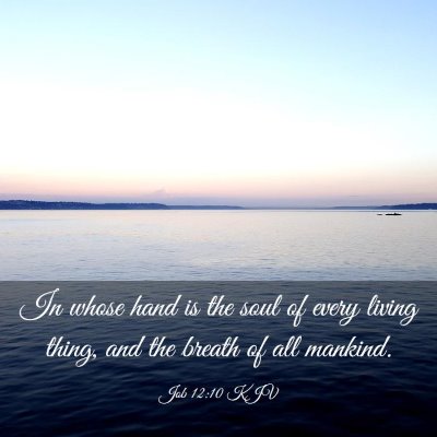 Picture 03 - Job 12:10 KJV - In whose hand is the soul of every living thing, - Bible Verse Picture