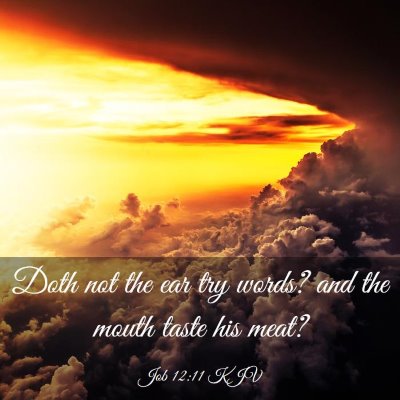 Picture 03 - Job 12:11 KJV - Doth not the ear try words? and the mouth taste - Bible Verse Picture