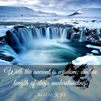 Picture 03 - Job 12:12 KJV - With the ancient is wisdom; and in length of days - Bible Verse Picture