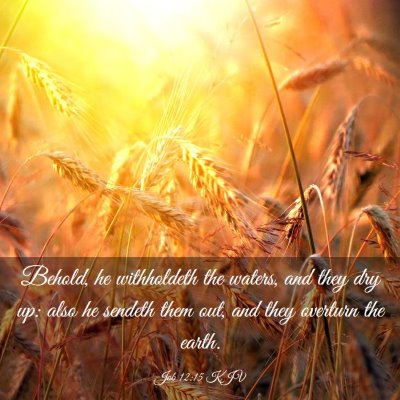 Picture 03 - Job 12:15 KJV - Behold, he withholdeth the waters, and they dry - Bible Verse Picture