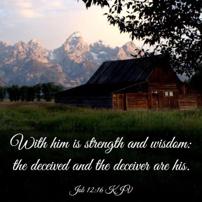 Picture 03 - Job 12:16 KJV - With him is strength and wisdom: the deceived and - Bible Verse Picture