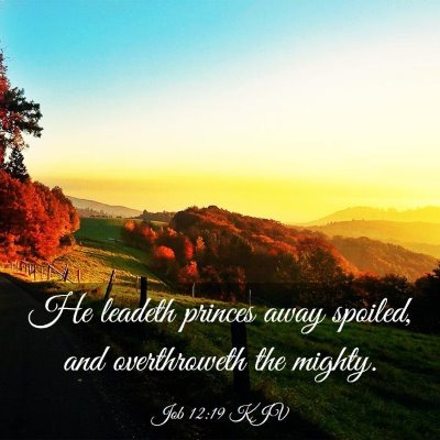Picture 03 - Job 12:19 KJV - He leadeth princes away spoiled, and overthroweth - Bible Verse Picture