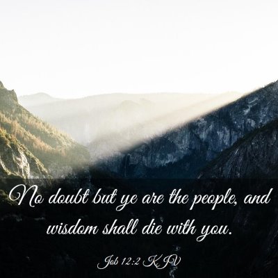 Picture 03 - Job 12:2 KJV - No doubt but ye are the people, and wisdom shall - Bible Verse Picture