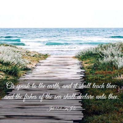 Picture 03 - Job 12:8 KJV - Or speak to the earth, and it shall teach thee: - Bible Verse Picture