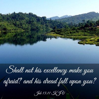 Picture 03 - Job 13:11 KJV - Shall not his excellency make you afraid? and his - Bible Verse Picture