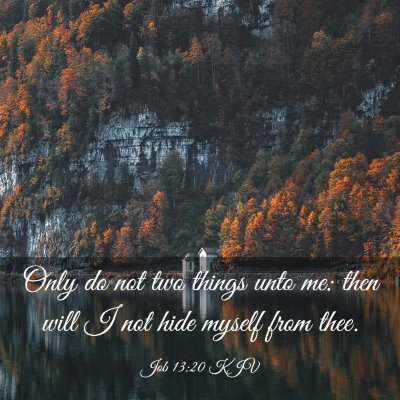 Picture 03 - Job 13:20 KJV - Only do not two things unto me: then will I not - Bible Verse Picture