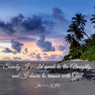 Picture 03 - Job 13:3 KJV - Surely I would speak to the Almighty, and I - Bible Verse Picture