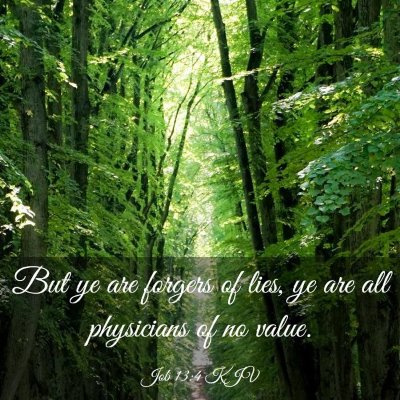 Picture 03 - Job 13:4 KJV - But ye are forgers of lies, ye are all physicians - Bible Verse Picture