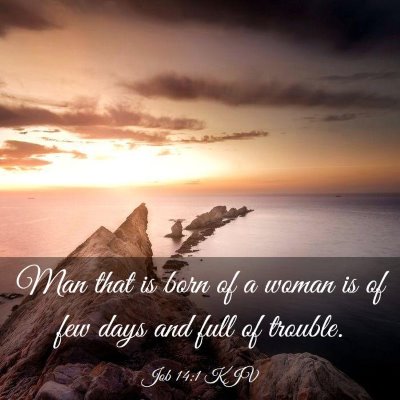 Picture 03 - Job 14:1 KJV - Man that is born of a woman is of few days and - Bible Verse Picture