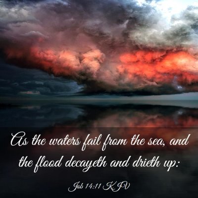 Picture 03 - Job 14:11 KJV - As the waters fail from the sea, and the flood - Bible Verse Picture