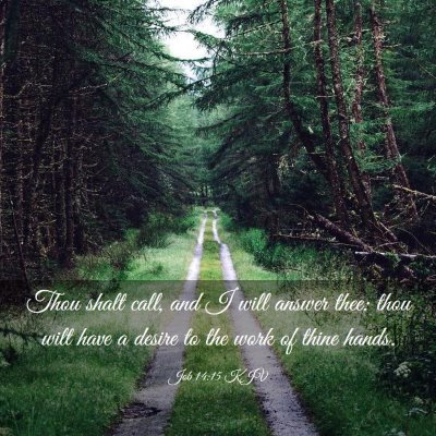 Picture 03 - Job 14:15 KJV - Thou shalt call, and I will answer thee: thou - Bible Verse Picture