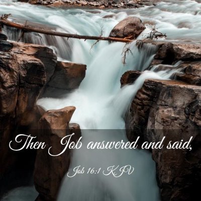 Picture 03 - Job 16:1 KJV - Then Job answered and - Bible Verse Picture