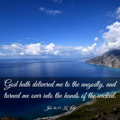 Picture 03 - Job 16:11 KJV - God hath delivered me to the ungodly, and turned - Bible Verse Picture
