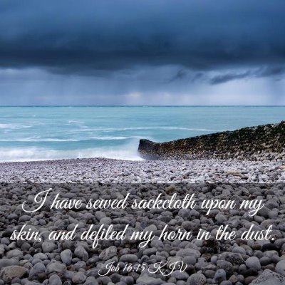 Picture 03 - Job 16:15 KJV - I have sewed sackcloth upon my skin, and defiled - Bible Verse Picture