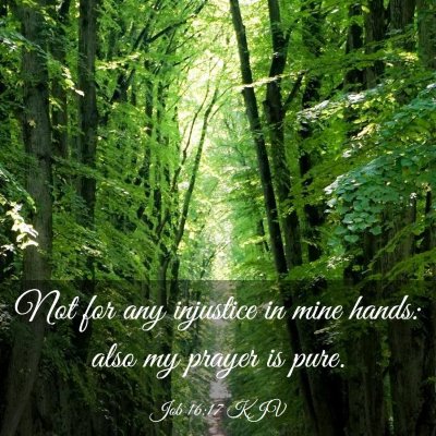 Picture 03 - Job 16:17 KJV - Not for any injustice in mine hands: also my - Bible Verse Picture