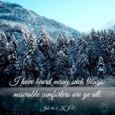 Picture 03 - Job 16:2 KJV - I have heard many such things: miserable - Bible Verse Picture