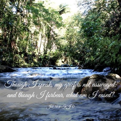 Picture 03 - Job 16:6 KJV - Though I speak, my grief is not asswaged: and - Bible Verse Picture